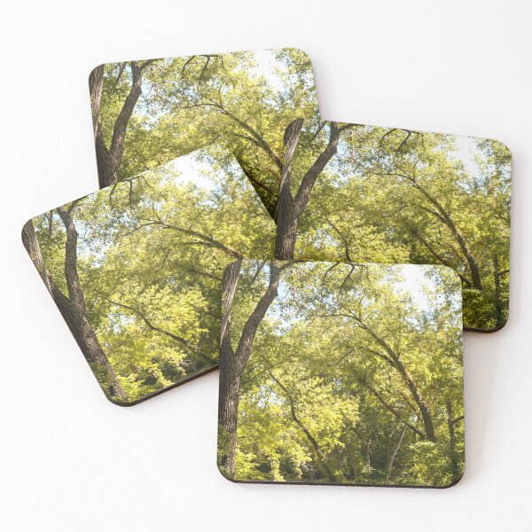Item preview, Arches and columns in the woodland cathedral designed and sold by Joel Bader.