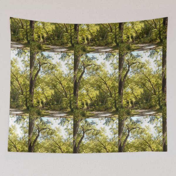 Item preview, Arches and columns in the woodland cathedral designed and sold by Joel Bader.