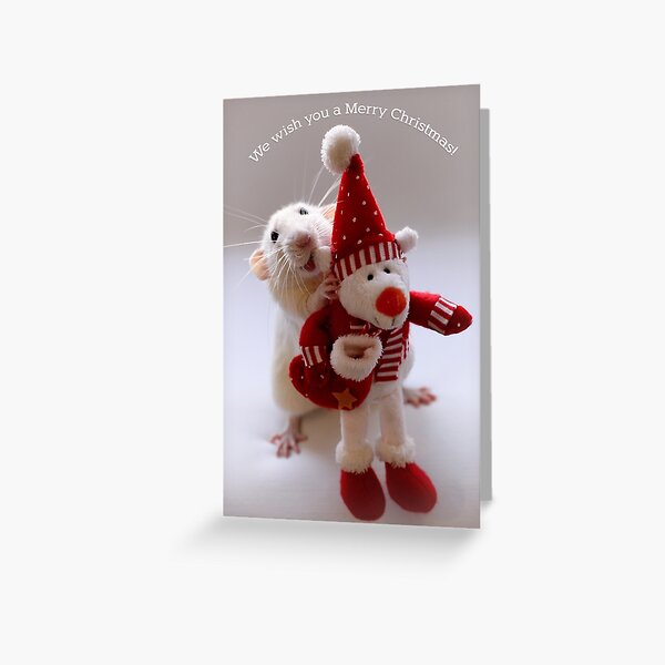 Wishing you all a Merry Christmas! Greeting Card