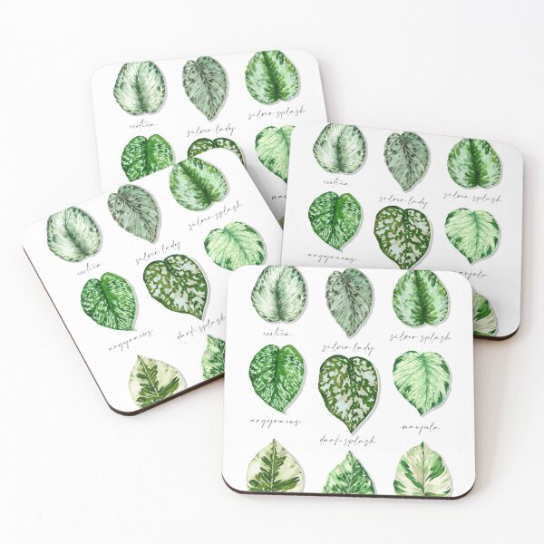 Item preview, Epipremnum & Scindapsus Vol I designed and sold by PetitMartin.
