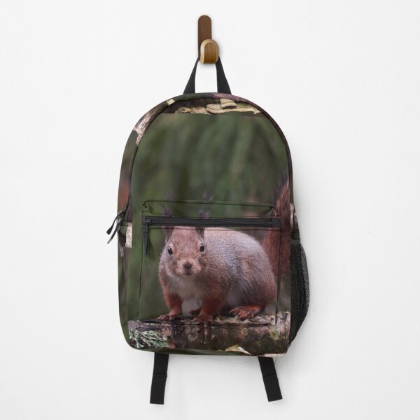 Item preview, From the forests so dark. Eurasian red squirrel designed and sold by Jouko Lehto Photography.
