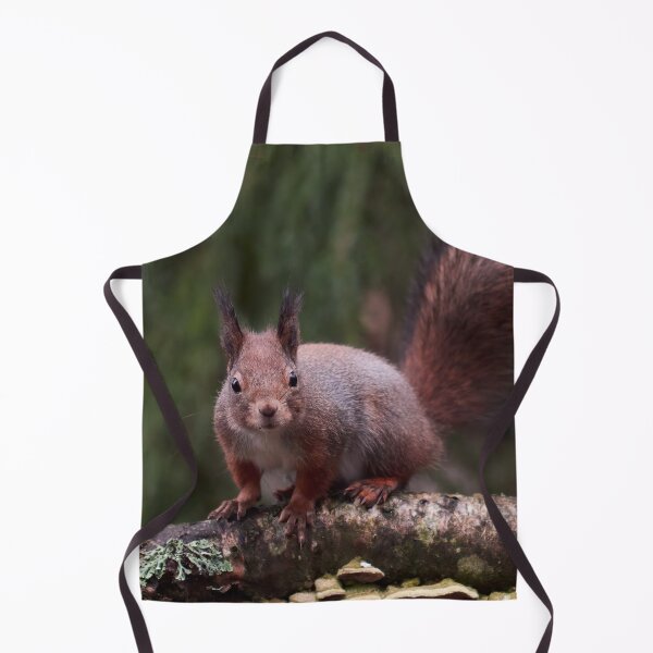 Item preview, From the forests so dark. Eurasian red squirrel designed and sold by Jouko Lehto Photography.