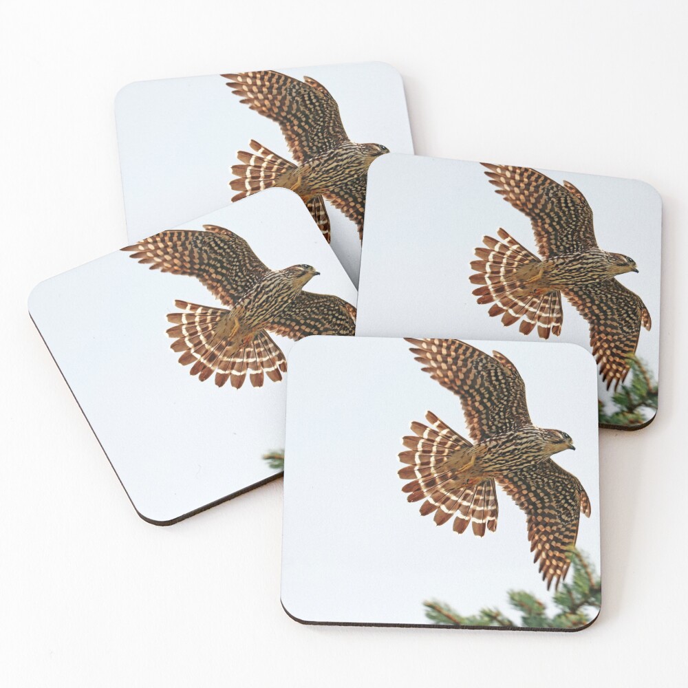 Item preview, Coasters (Set of 4) designed and sold by debop1.