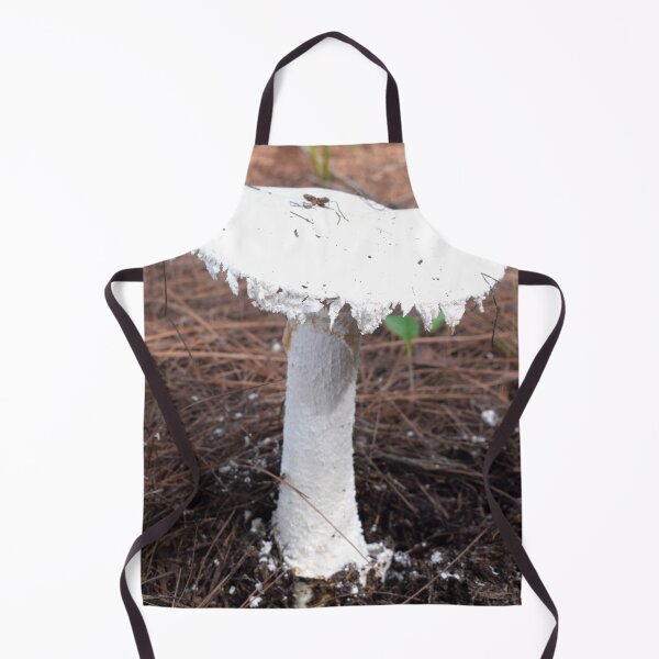 Item preview,  European white egg (Amanita ovoidea) 1 designed and sold by Furiarossa.