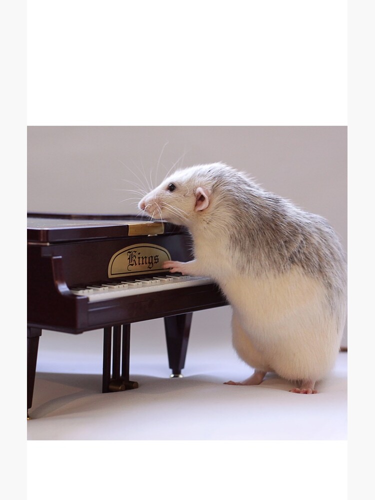 My new piano! by Ellen