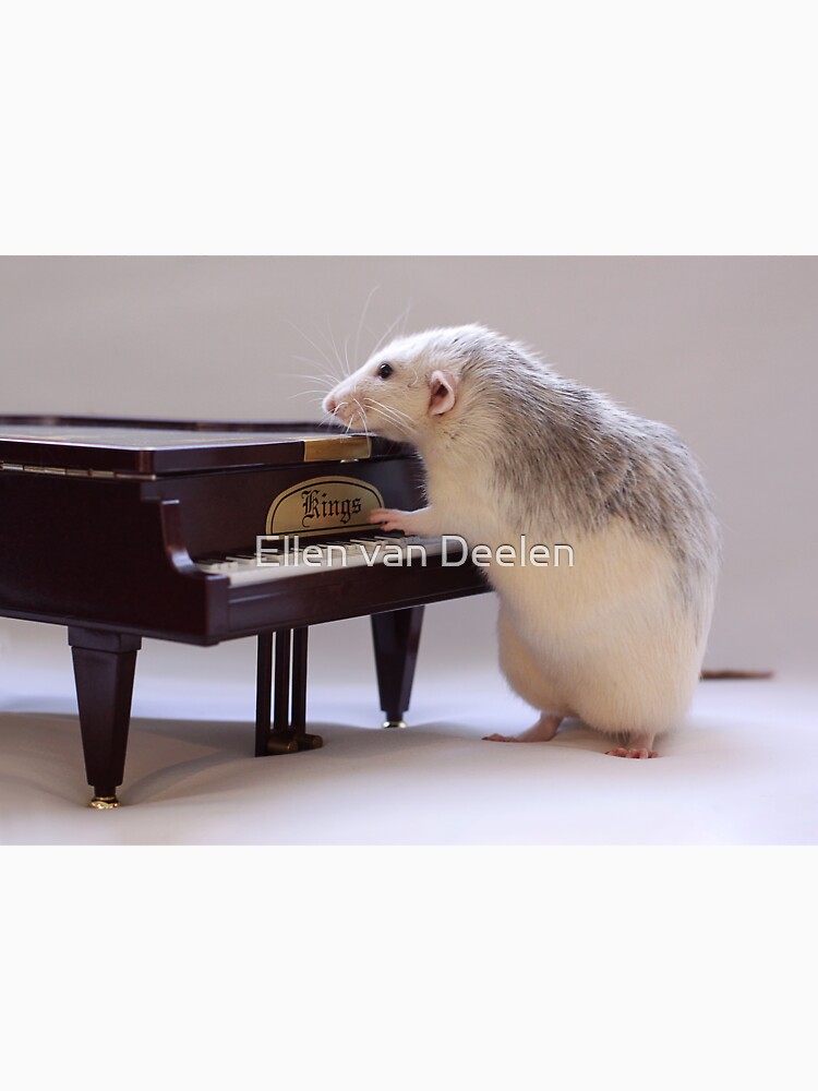 My new piano! by Ellen