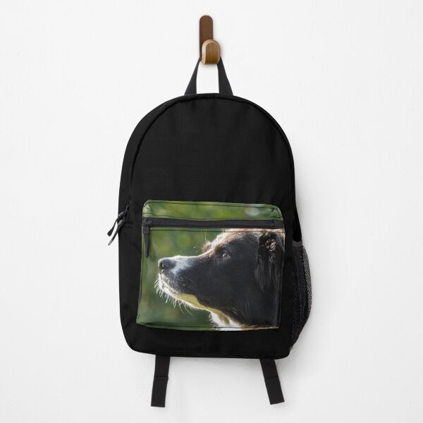 Item preview, Border Collie Dog, Profile designed and sold by Jane Stanley Photography.