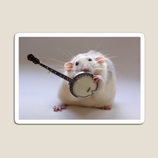 My banjo. Magnet