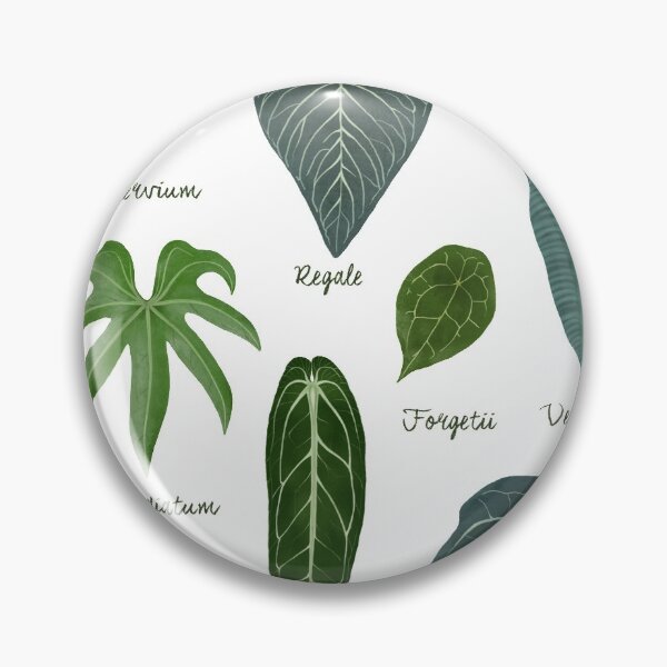 Artikelvorschau, Anthurium Blätter Arten Diagramm botanische Illustration entworfen und verkauft von Onyria Art.