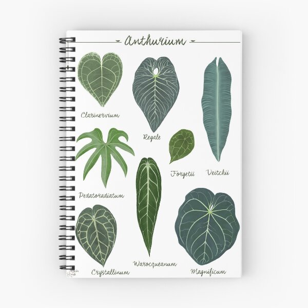 Item preview, Anthurium leaves species chart botanical illustration designed and sold by Onyria Art.
