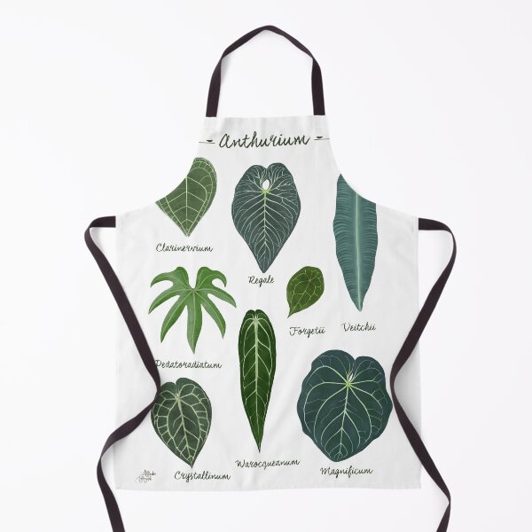 Item preview, Anthurium leaves species chart botanical illustration designed and sold by Onyria Art.