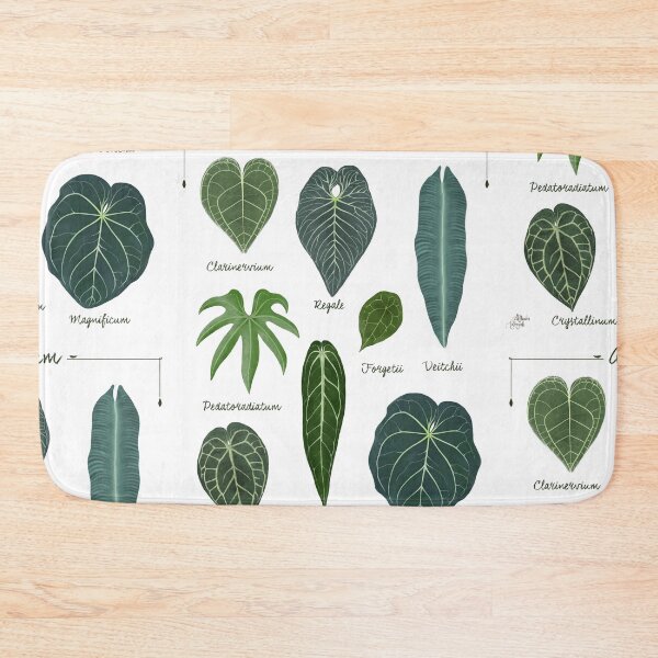 Item preview, Anthurium leaves species chart botanical illustration designed and sold by Onyria Art.