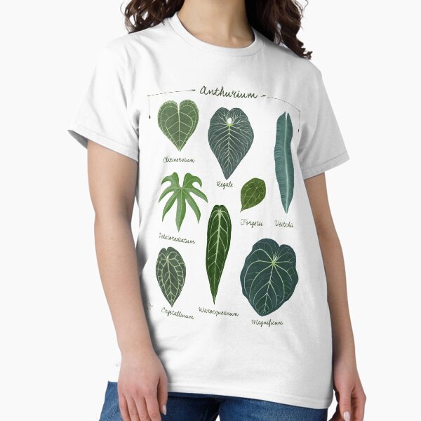 Item preview, Anthurium leaves species chart botanical illustration designed and sold by Onyria Art.