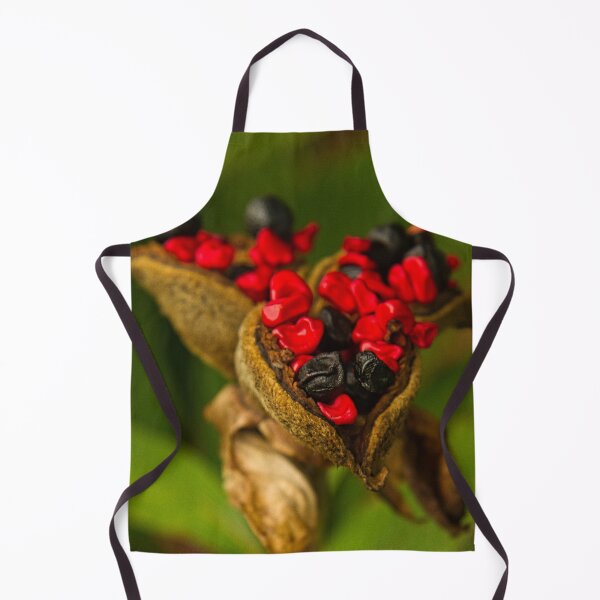 Item preview, Valentino designed and sold by ThePictureMan.
