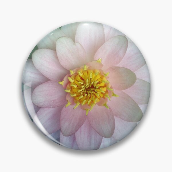 Item preview, Water lily in symmetry designed and sold by Christine Mignon.