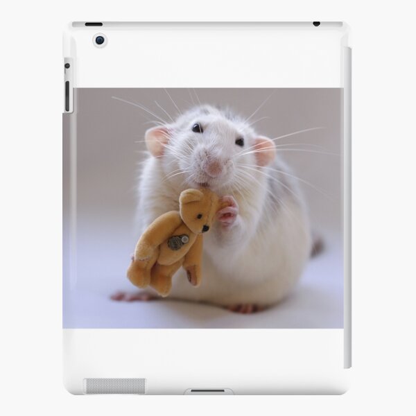 My new Teddy-bear. iPad Snap Case