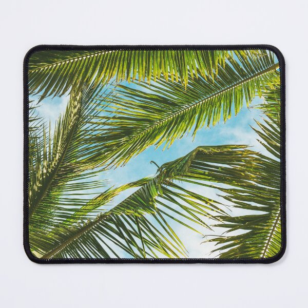 Item preview, Coconut plant blue sky designed and sold by Designs by Suzanne.