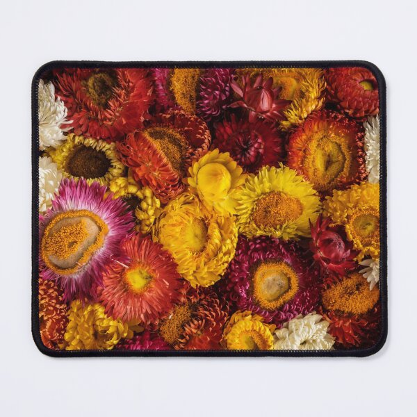 Item preview, Paper or "Straw" Daisies designed and sold by PikiPiki Overland.