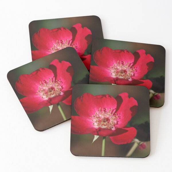 Item preview, The last rose designed and sold by Olivia Plasencia.