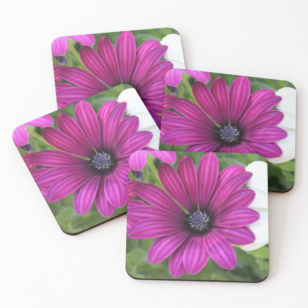 Item preview, Purple Flower designed and sold by SariePhotograph.