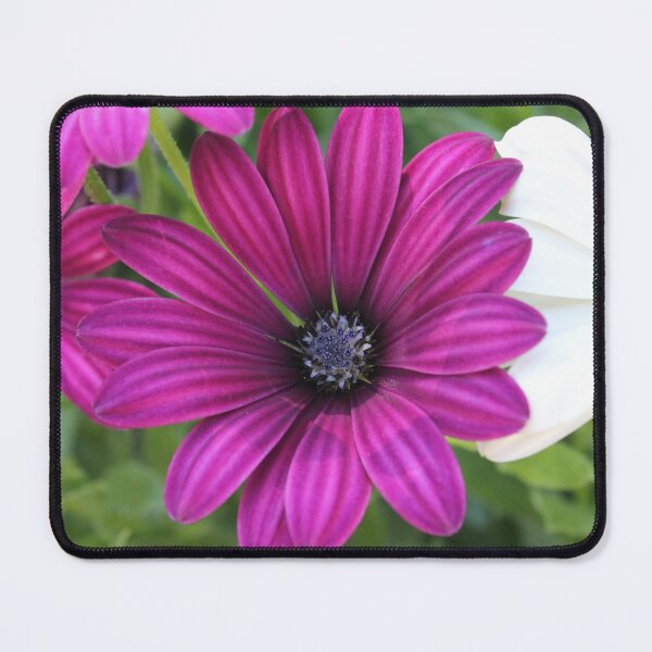 Item preview, Purple Flower designed and sold by SariePhotograph.