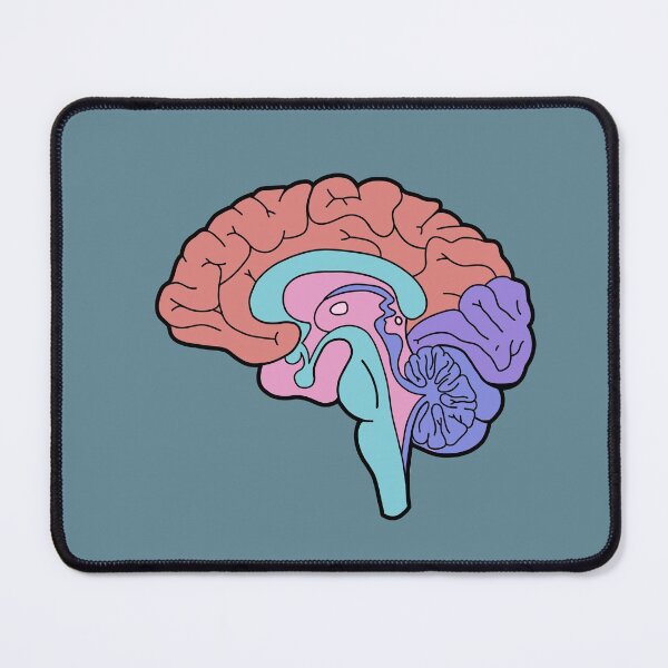 Item preview, Anatomical brain - pastel colors designed and sold by Preslava Genova.