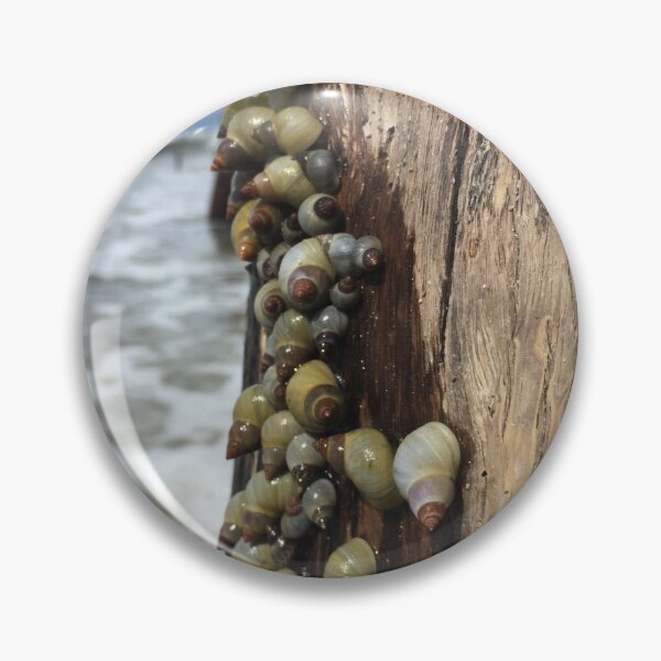 Item preview, Snails on the seashore designed and sold by TheKitchenCynk.