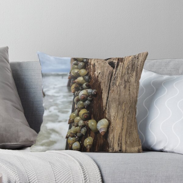 Item preview, Snails on the seashore designed and sold by TheKitchenCynk.