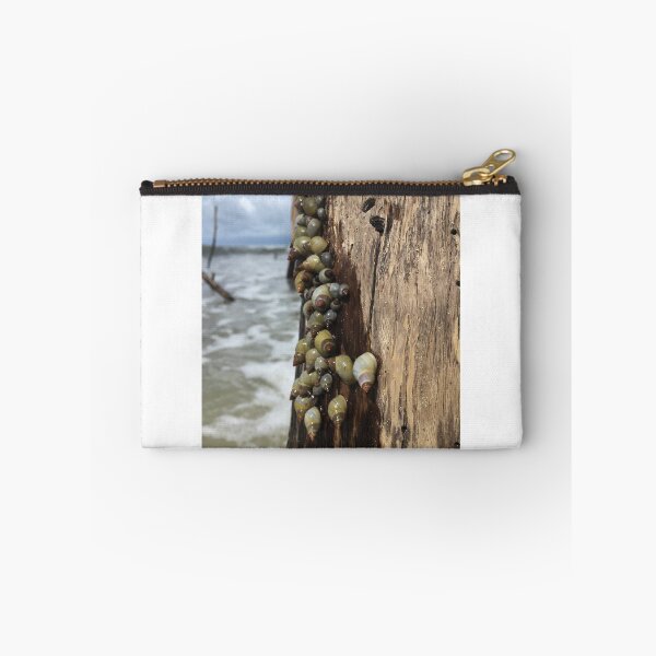 Item preview, Snails on the seashore designed and sold by TheKitchenCynk.