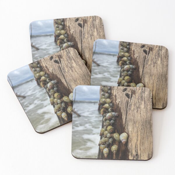 Item preview, Snails on the seashore designed and sold by TheKitchenCynk.