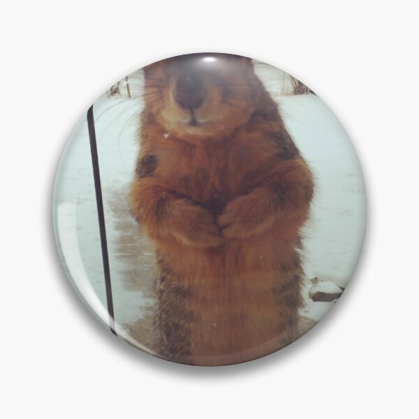 Item preview, Squirrel visitor designed and sold by TheKitchenCynk.