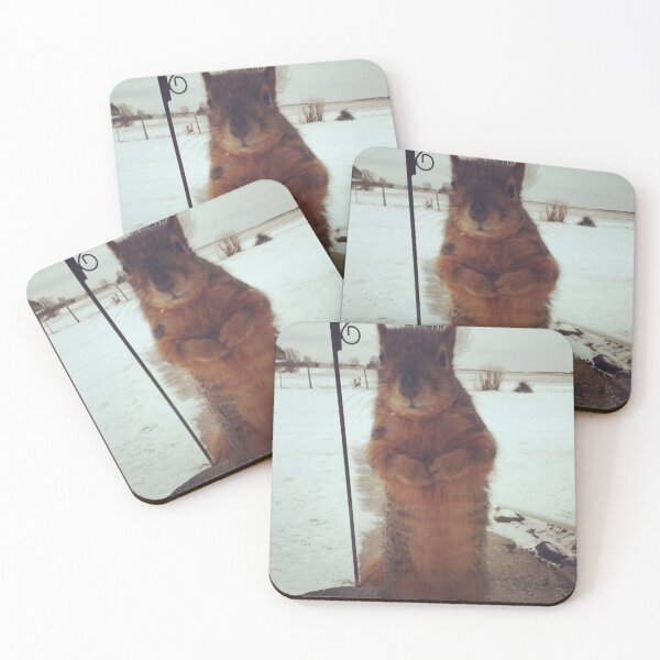 Item preview, Squirrel visitor designed and sold by TheKitchenCynk.