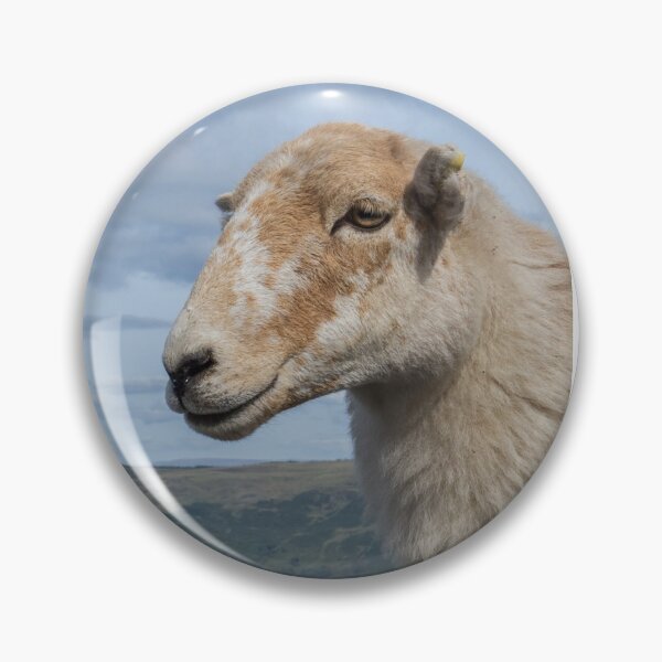 Item preview, Sheep above Rhondda Valley designed and sold by Judi Lion.
