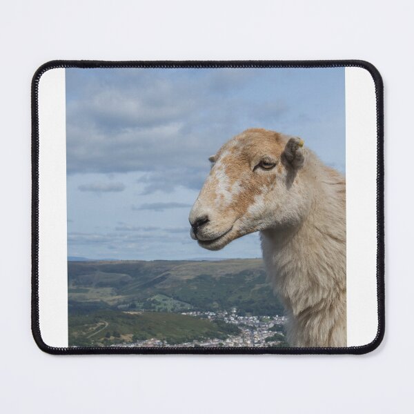 Item preview, Sheep above Rhondda Valley designed and sold by Judi Lion.