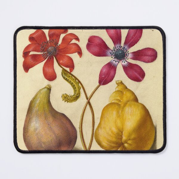 Item preview, Naturalist Manuscript: Flowers, Insect, Fruits, and Calligraphy Illumination by Joris Hoefnagel designed and sold by Naturalist Prints.