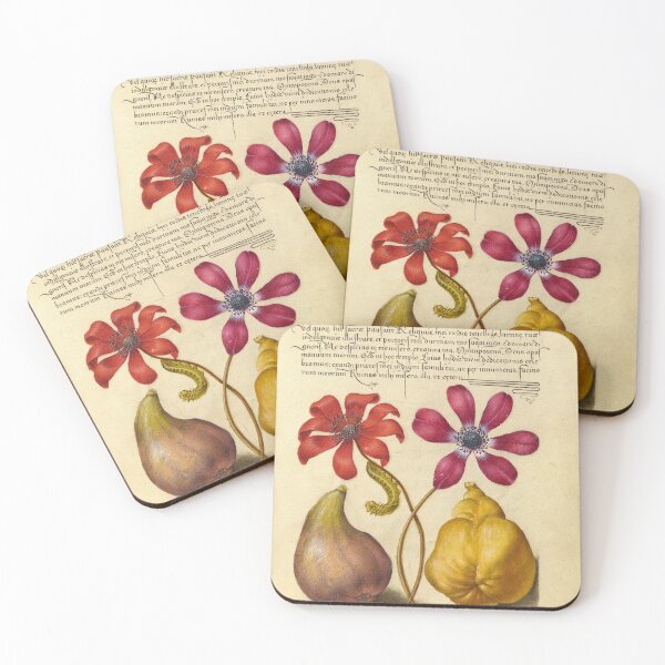 Item preview, Naturalist Manuscript: Flowers, Insect, Fruits, and Calligraphy Illumination by Joris Hoefnagel designed and sold by Naturalist Prints.