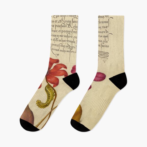 Item preview, Naturalist Manuscript: Flowers, Insect, Fruits, and Calligraphy Illumination by Joris Hoefnagel designed and sold by Naturalist Prints.