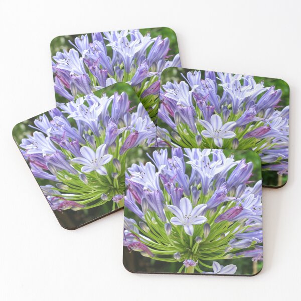 Item preview, Agapanthus designed and sold by Lauviahsdesign.