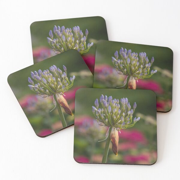 Item preview, Agapanthus designed and sold by Lauviahsdesign.