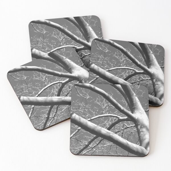 Item preview, Shadowy Black and White Sycamore Tree designed and sold by JariHawk.