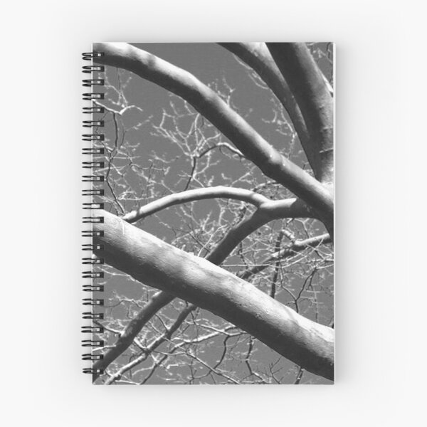 Item preview, Shadowy Black and White Sycamore Tree designed and sold by JariHawk.