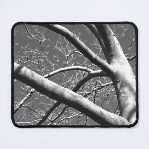 Item preview, Shadowy Black and White Sycamore Tree designed and sold by JariHawk.