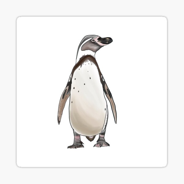 pingüino pintado listo modelo personaje animal 1:45 pista 0 