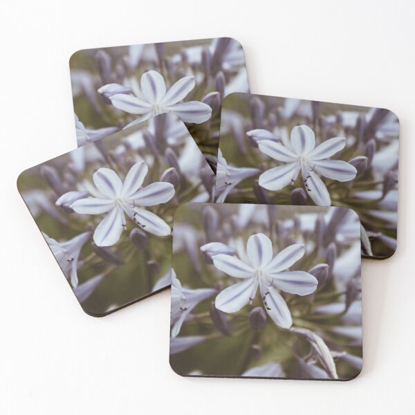Item preview, Agapanthus designed and sold by Lauviahsdesign.
