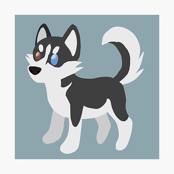 Teeny Husky Photographic Print