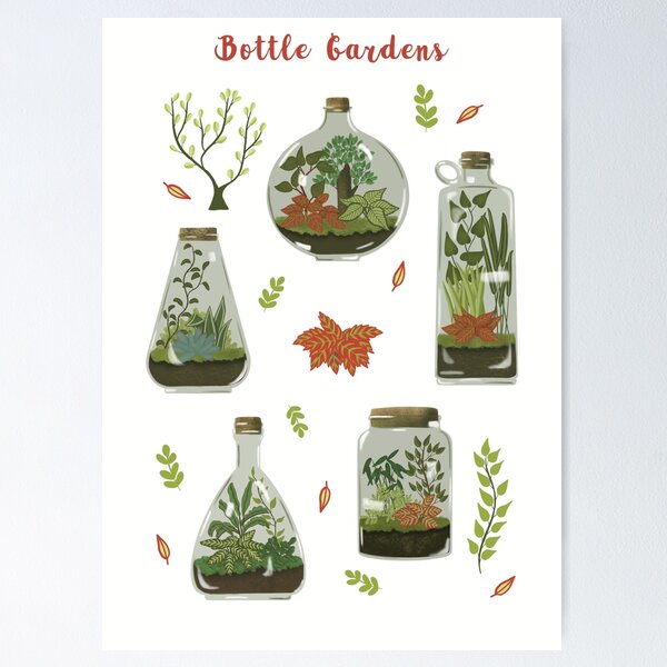 Bottle Gardens Poster