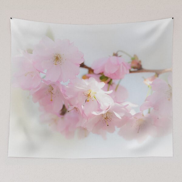 Aperçu de l'œuvre Cherry Blossom Beauty créée et vendue par heidipics.