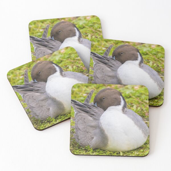 Item preview, Pintail designed and sold by LaurenTucker.