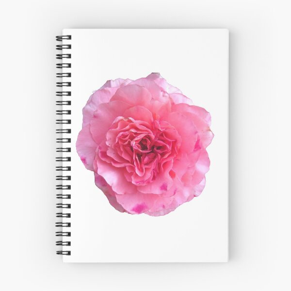 Item preview, Simple pink rose designed and sold by HeartlyBoutique.