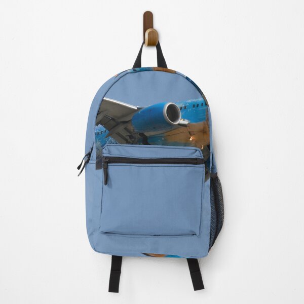 Item preview, B737 Max Frozen designed and sold by Steve Stones.